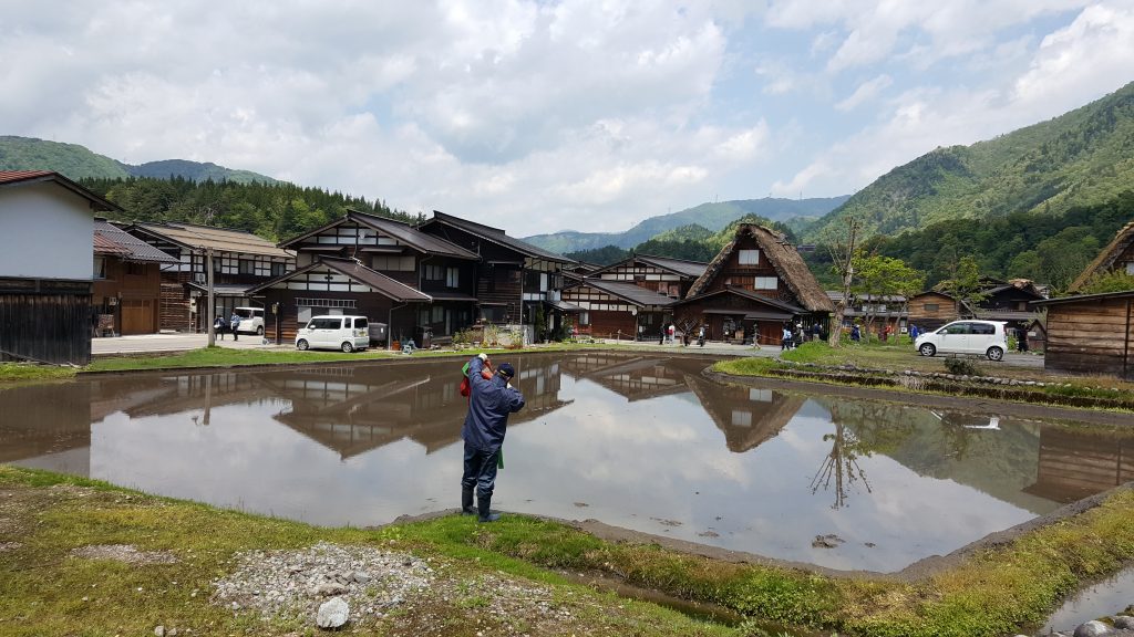 A man standing over a pond fishing shrimps in Shirakawa-Go Japan's Hidden Gem
