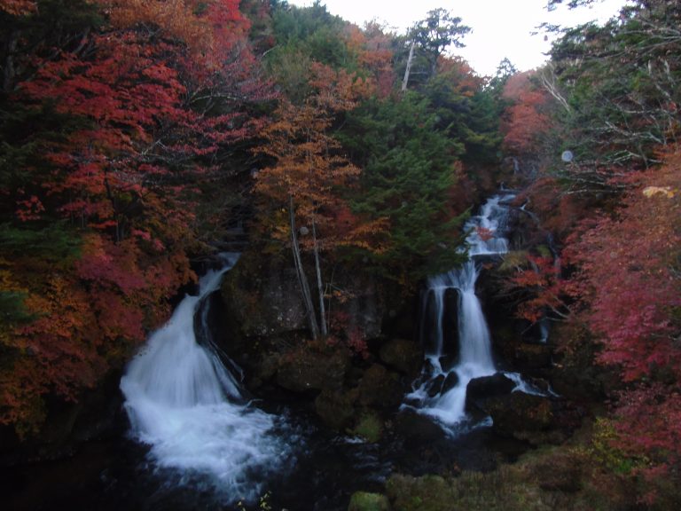 The Ryuzu water fall surrounded by autumn colors.