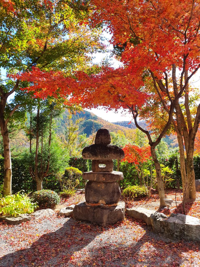 Autumn colors in full bloom at Hotokuji Temple Gunma's Hidden Gem