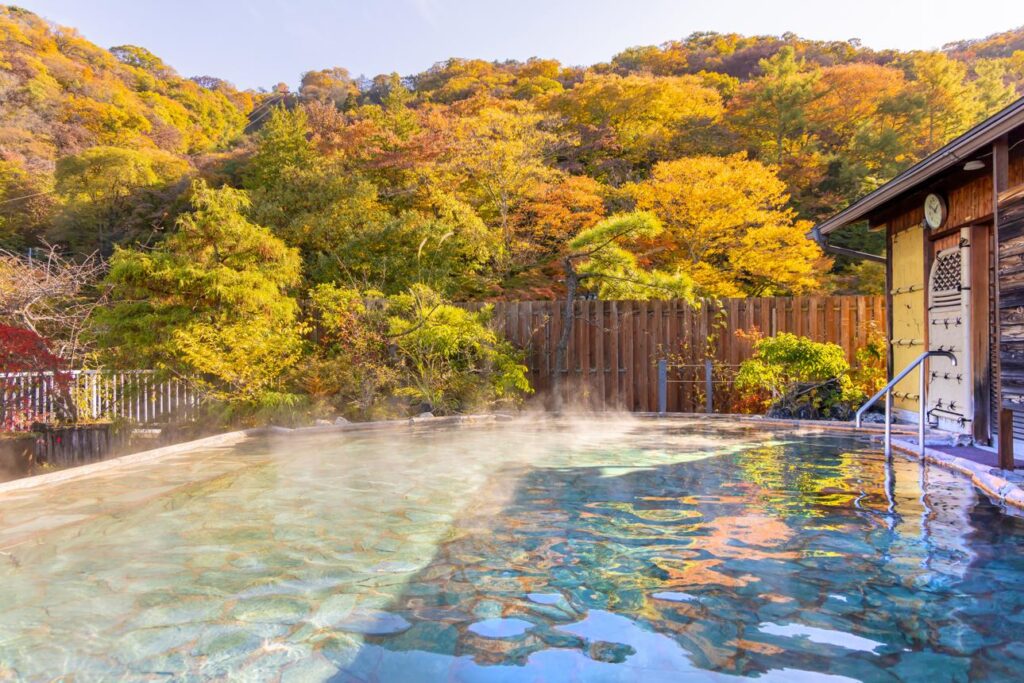 Private ryokan bath overlooking nature